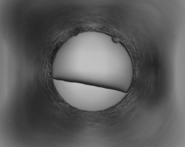 X0000088181397200705150930