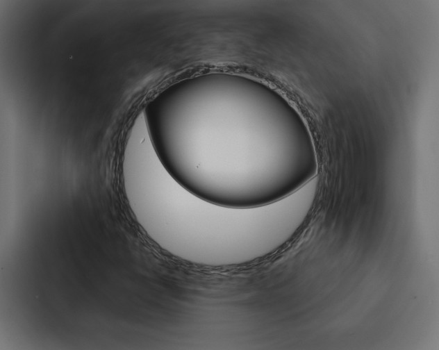 X0000088181398200705150930
