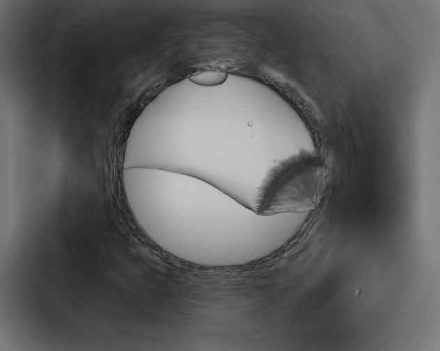 X0000088181399200705150930