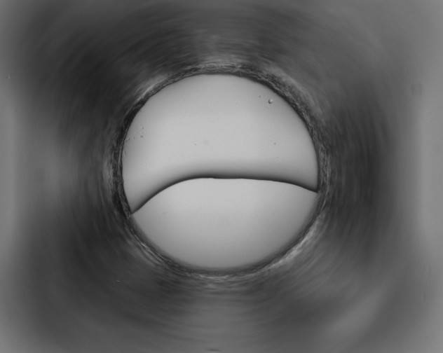 X0000088181401200705150930
