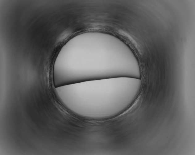 X0000088181403200705150930