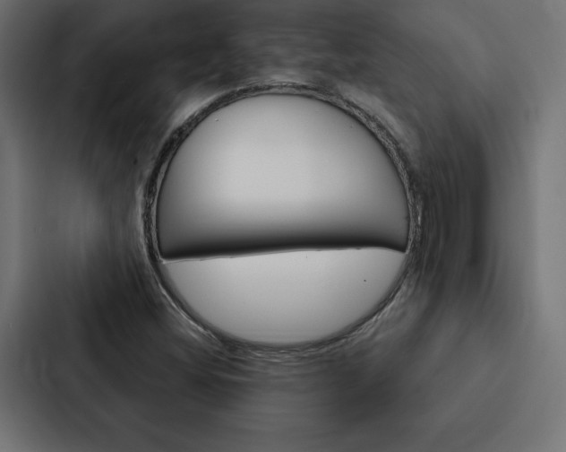 X0000088181404200705150930