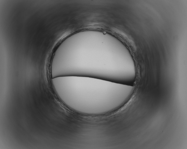 X0000088181405200705150930