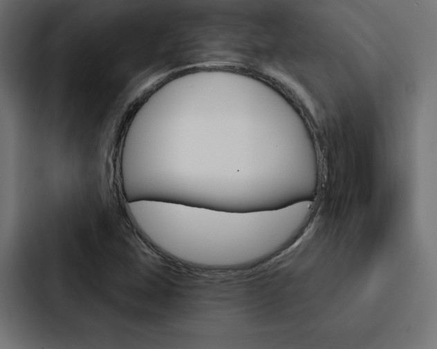 X0000088181407200705150930