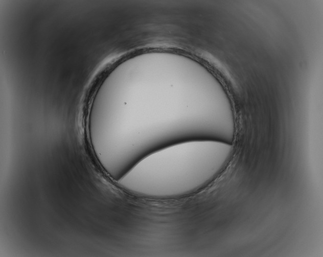 X0000088181408200705150930