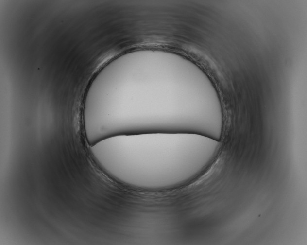 X0000088181409200705150930