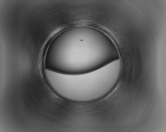 X0000088181410200705150930