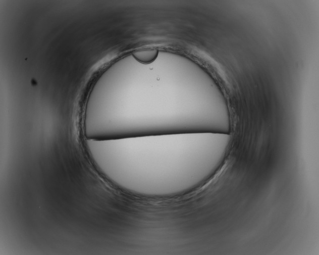 X0000088181411200705150930