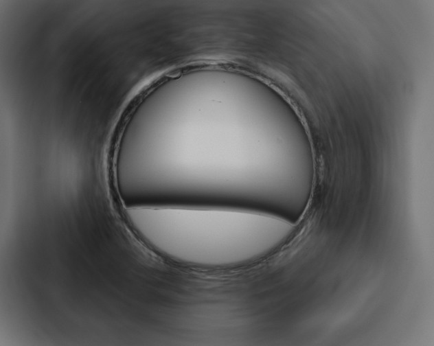 X0000088181412200705150930