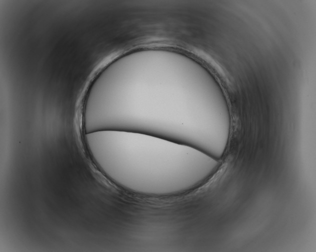 X0000088181413200705150930