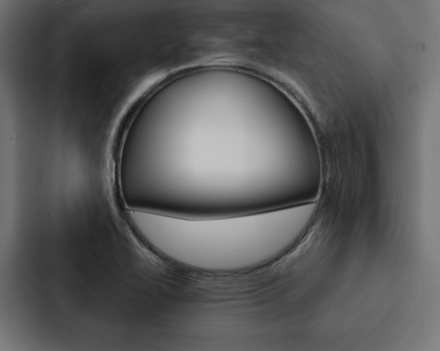 X0000088181414200705150930