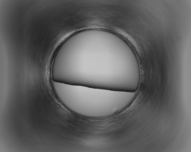 X0000088181415200705150930