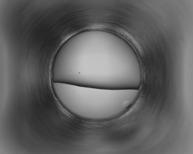 X0000088181417200705150930
