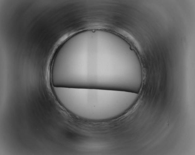 X0000088181419200705150930