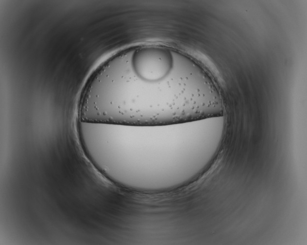 X0000088181420200705150930