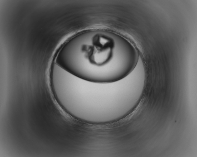 X0000088181422200705150930