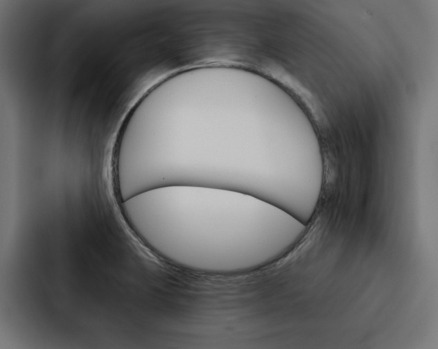 X0000088181423200705150930