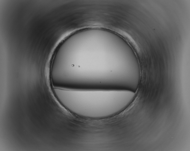 X0000088181424200705150930