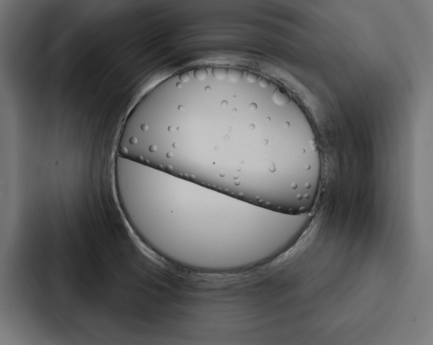 X0000088181425200705150930