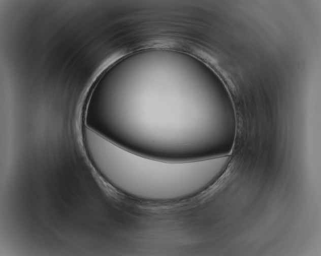 X0000088181426200705150930