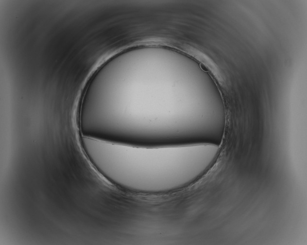 X0000088181428200705150930
