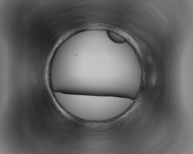 X0000088181429200705150930
