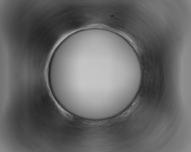 X0000088181430200705150930