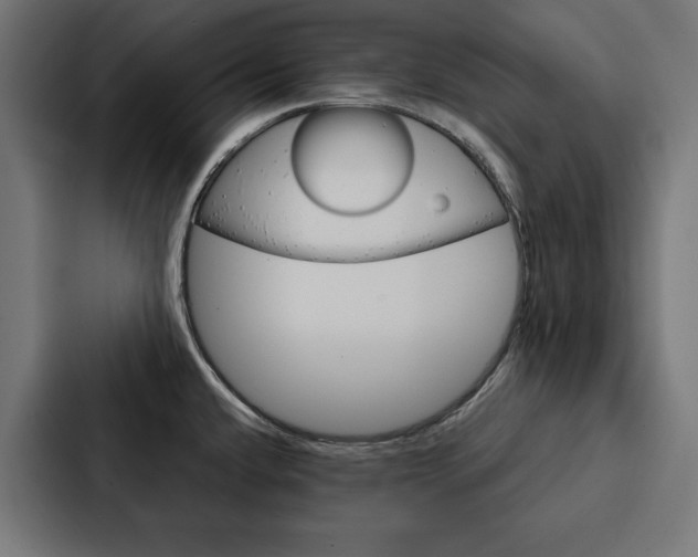X0000088181432200705150930
