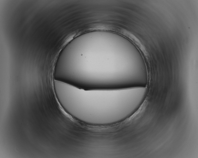 X0000088181433200705150930