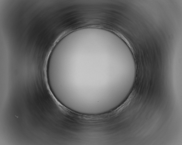 X0000088181434200705150930