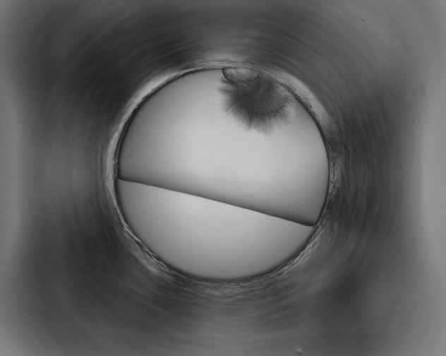 X0000088181435200705150930