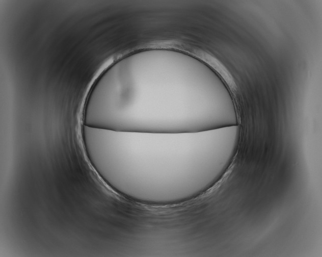 X0000088181436200705150930