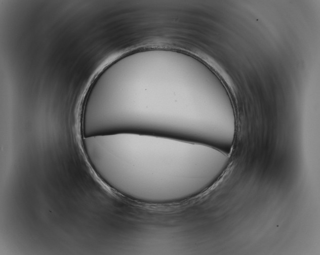 X0000088181437200705150930