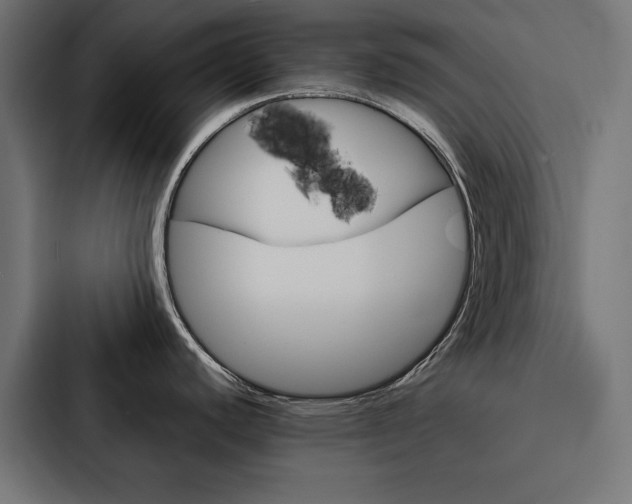 X0000088181440200705150931