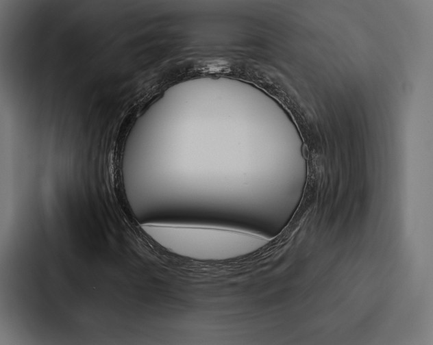 X0000088181442200705150930