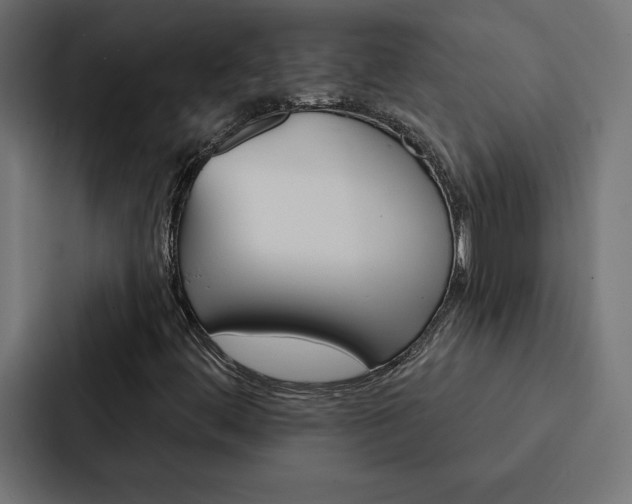 X0000088181444200705150930