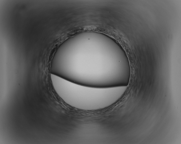 X0000088181445200705150930