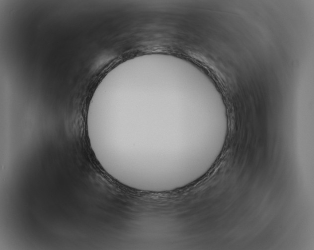 X0000088181446200705150930