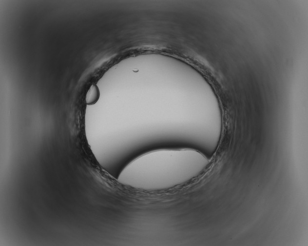 X0000088181448200705150930