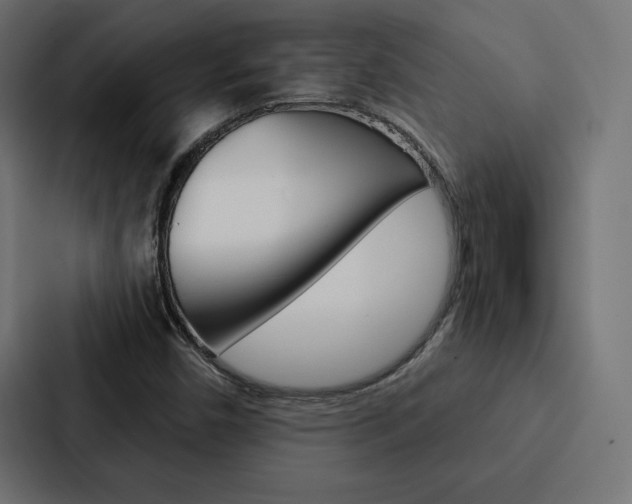 X0000088181450200705150930