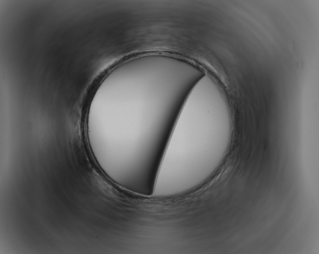 X0000088181452200705150930