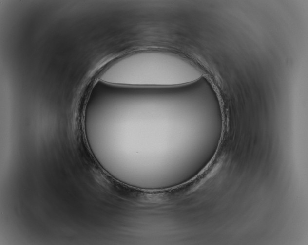 X0000088181453200705150930
