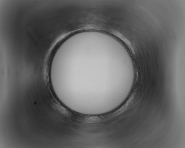 X0000088181454200705150930