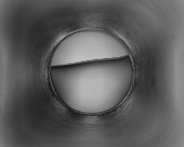 X0000088181455200705150930
