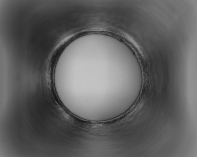 X0000088181456200705150930