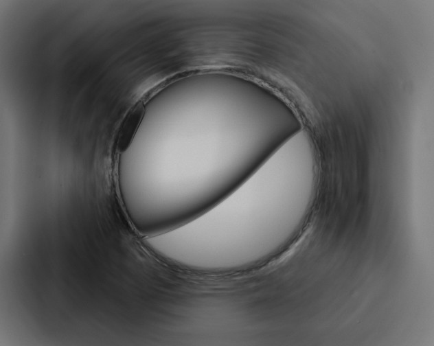X0000088181457200705150930