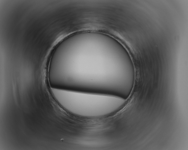 X0000088181459200705150930