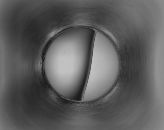 X0000088181461200705150930