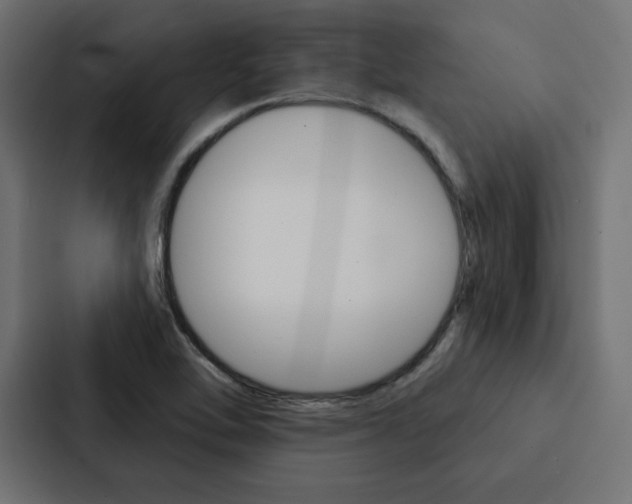 X0000088181462200705150930