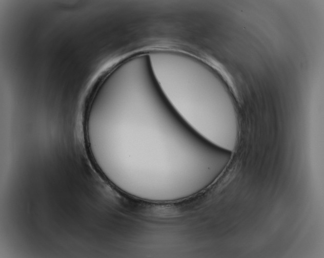 X0000088181464200705150930